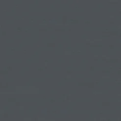 Kwantum Rolgordijnen|Dakraam Rolgordijnen*Fenstr Dakraam Rolgordijn Dave Verduisterend Antraciet