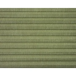 Kwantum Plisségordijnen*Fenstr Dubbel Plisségordijn Maud Transparant Groen