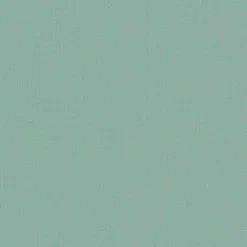 Kwantum Rolgordijnen*Fenstr Rolgordijn Noor Verduisterend LichtGroen