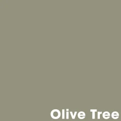 Kwantum Muurverf*Muurverf Professional Olive Tree 1 L 1L